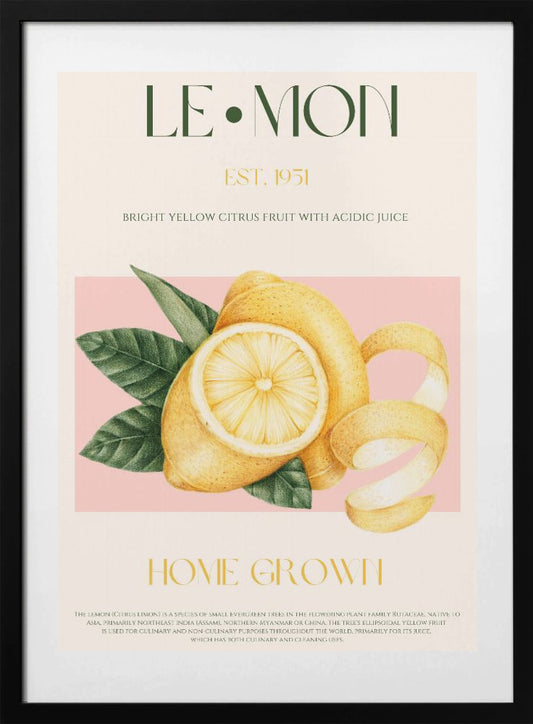 Vintage Style Sliced Lemon With Leaves - Art Print by Nazma Khokhar