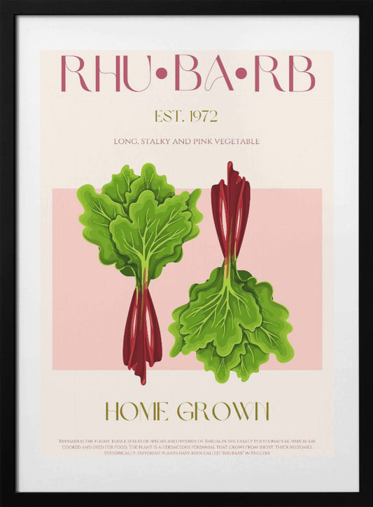 Illustrated Rhubarb With Vibrant Pink Stalks - Art Print by Nazma Khokhar