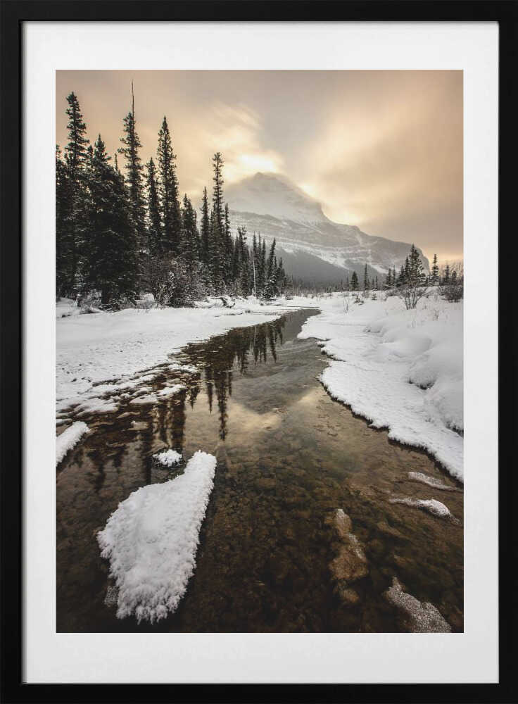 Dawn of Winter - Art Print by April Xie