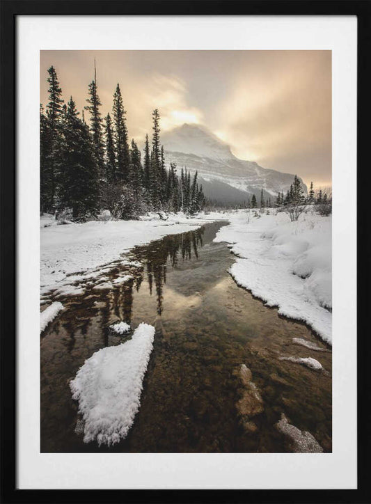 Dawn of Winter - Art Print by April Xie