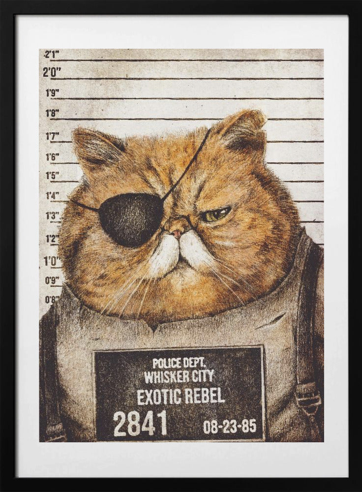 Funny Cat - Art Print by Mike Koubou