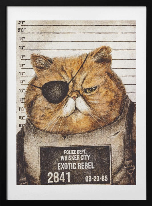 Funny Cat - Art Print by Mike Koubou