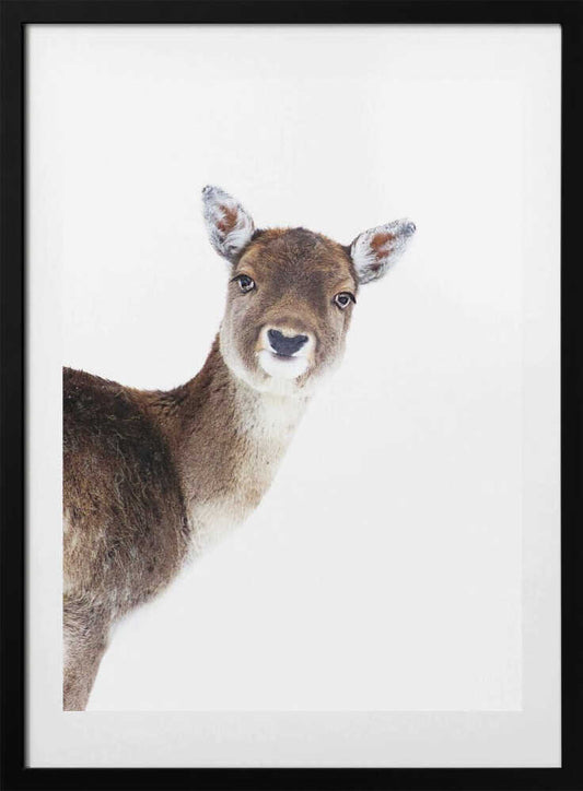 Deer Peekaboo White - Art Print by Monika Strigel