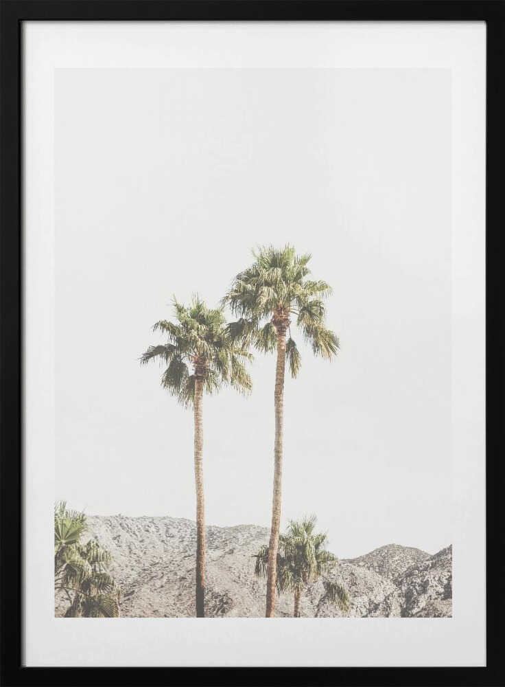 Palm Springs Palms - Art Print by Kathrin Pienaar