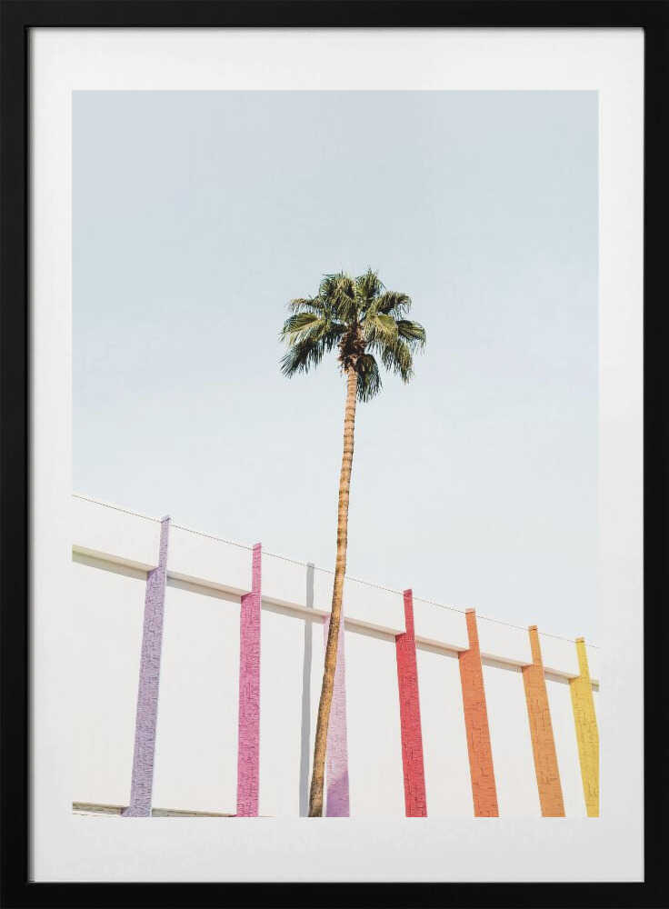Palm Spring Colors 2 - Art Print by Kathrin Pienaar
