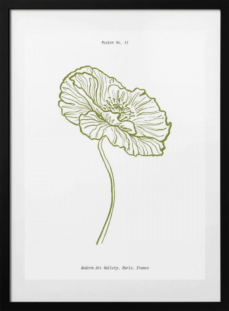 Pale Poppy Sketch - Art Print by Treechild