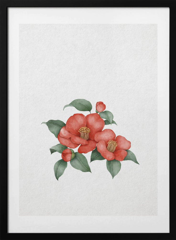 Elegant Camellia - Art Print by Xuan Thai