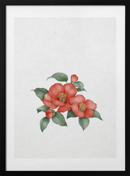 Elegant Camellia - Art Print by Xuan Thai