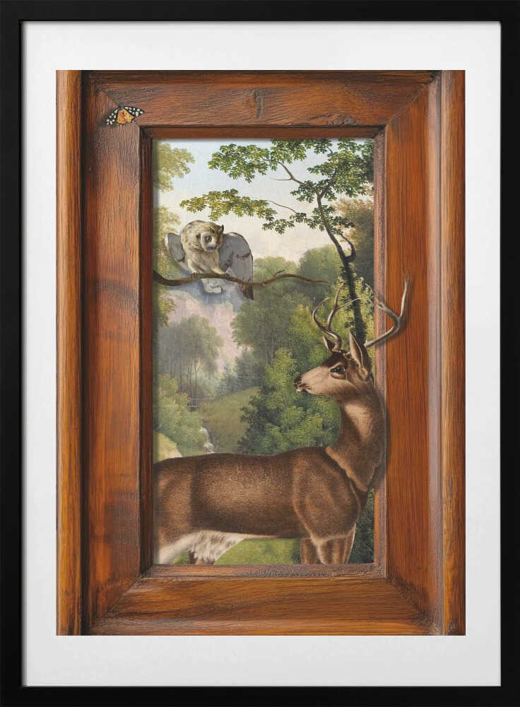 Tales of Owls and Deer - Art Print by Marja van den Hurk