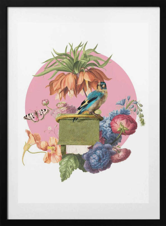 Colorful Bird Perched On A Box - Art Print by Marja van den Hurk