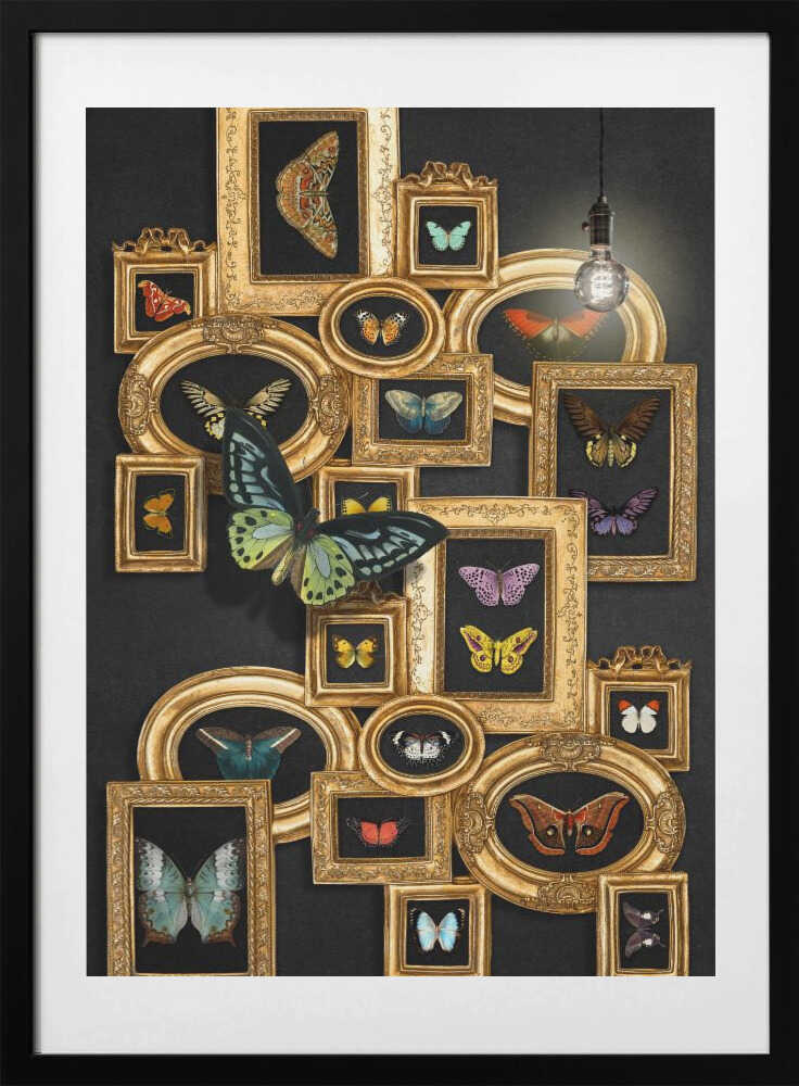 A Collection Of Butterflies - Art Print by Marja van den Hurk