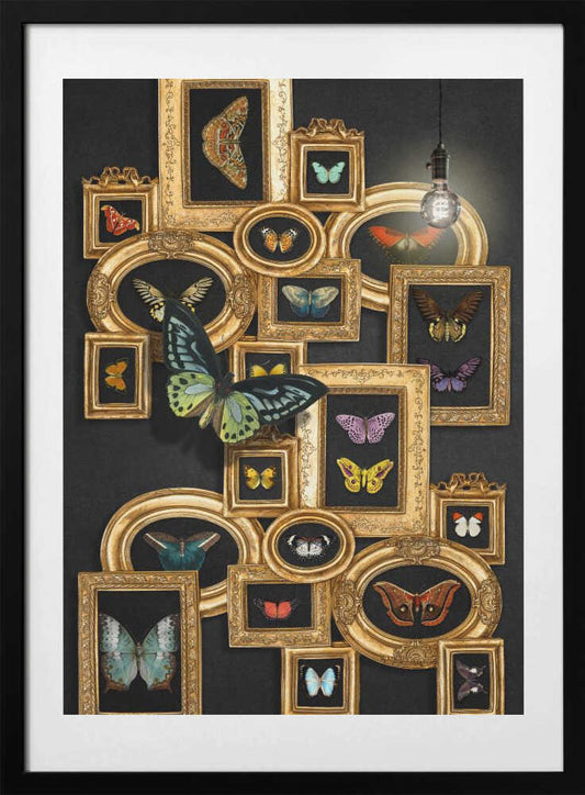 A Collection Of Butterflies - Art Print by Marja van den Hurk