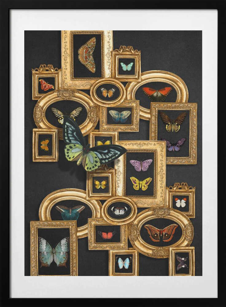A Collection Of Butterflies - Art Print by Marja van den Hurk