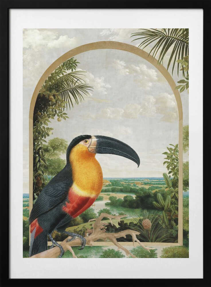 Toucan Perched on a Branch - Art Print by Marja van den Hurk