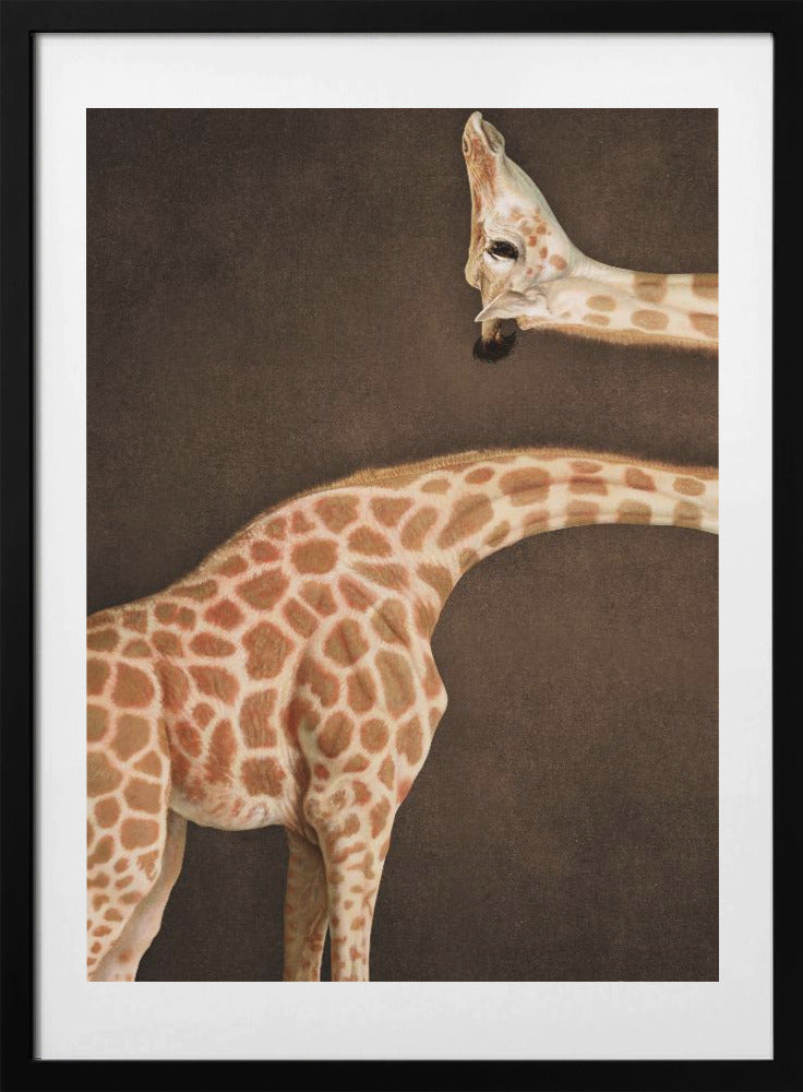 Giraffe Illusion - Art Print by Marja van den Hurk