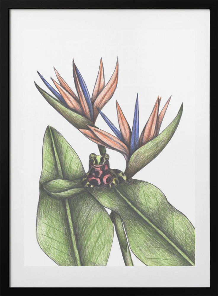 Tropical Harmony - Art Print by Cecilia Battaini