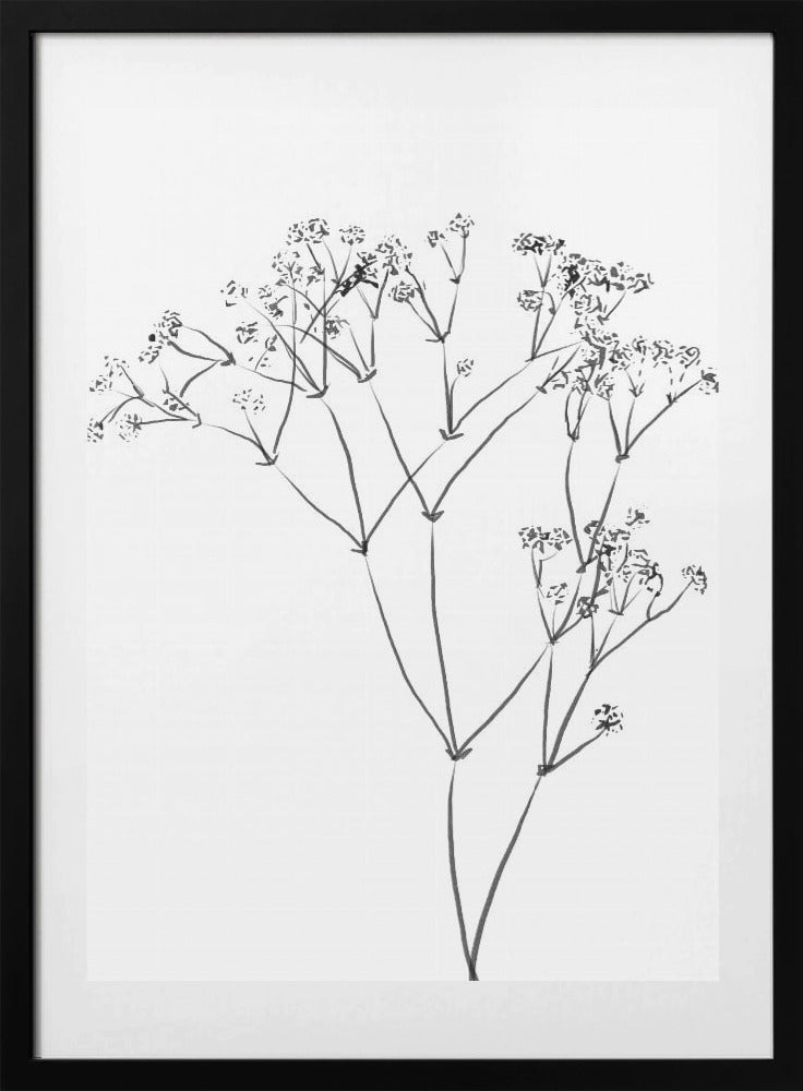 Drawing Line Plant - Art Print by THE MIUUS STUDIO