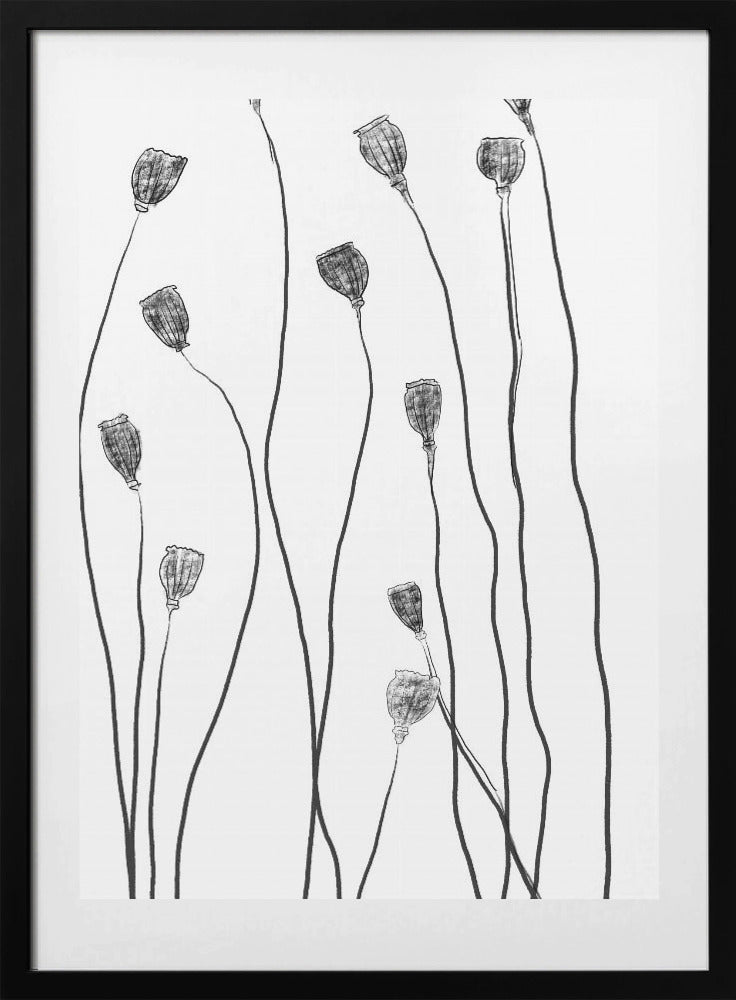 Minimal Line Plant - Art Print by THE MIUUS STUDIO