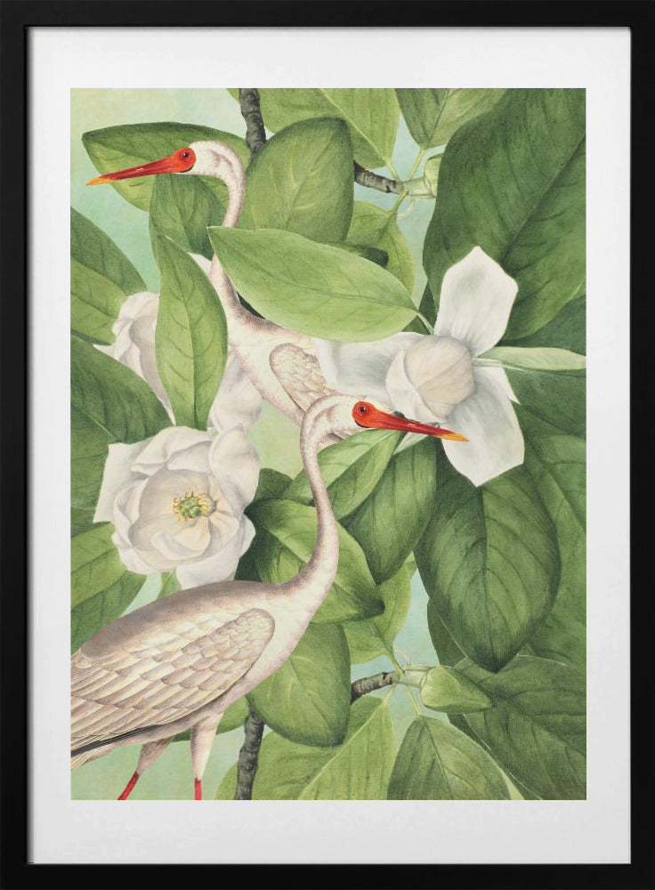 Cranes Among Blooms - Art Print by Marja van den Hurk