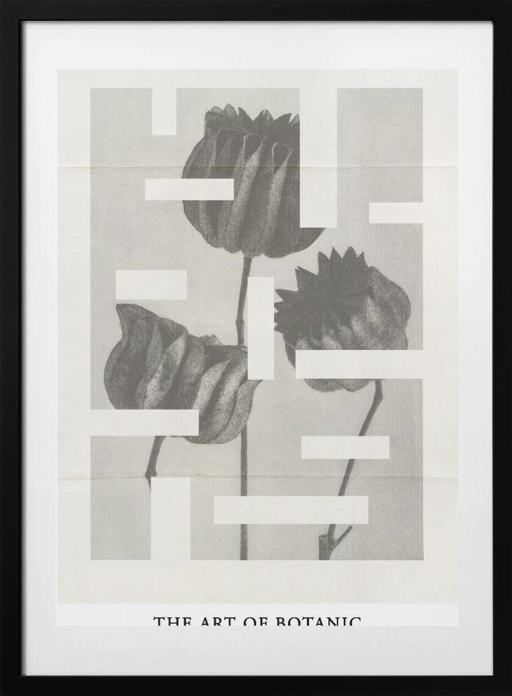 The art of botanic No.1 - Art Print by THE MIUUS STUDIO