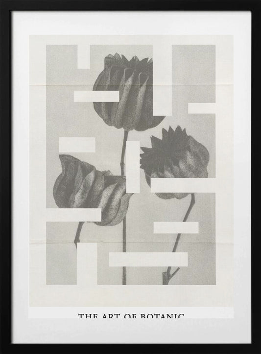 The art of botanic No.1 - Art Print by THE MIUUS STUDIO