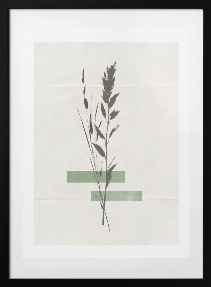 Modern Plants No.3 - Art Print by THE MIUUS STUDIO