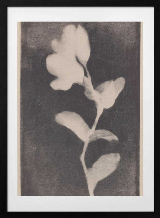 Fadedbloom - Art Print by Treechild