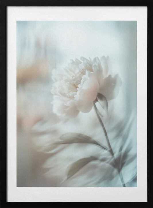 Bloom sway - Art Print by Treechild