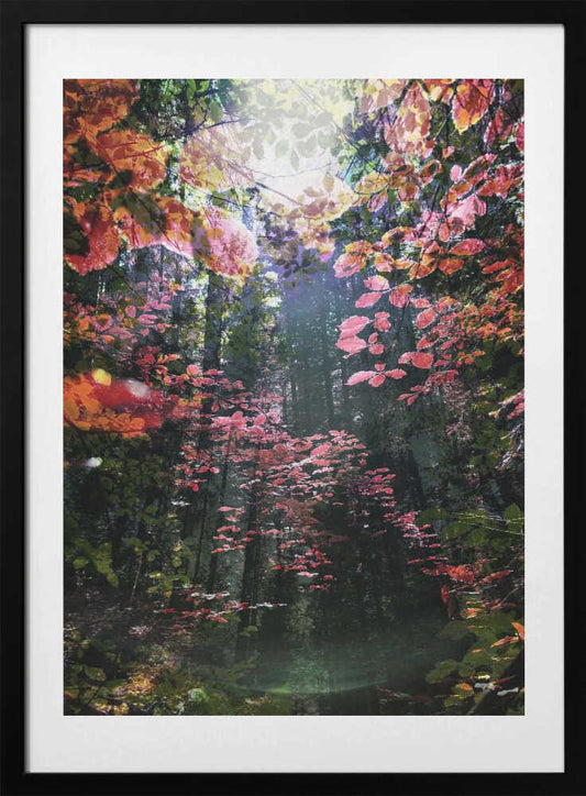 Enchanted - Art Print by Angelo Cerantola