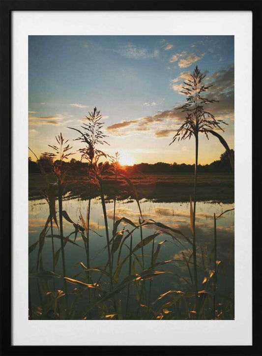 Praise Be - Art Print by Angelo Cerantola