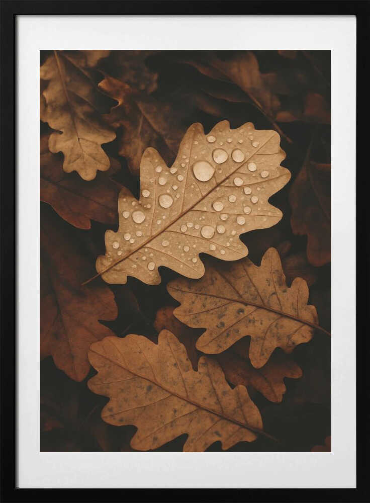 Autumnleafs - Art Print by Treechild