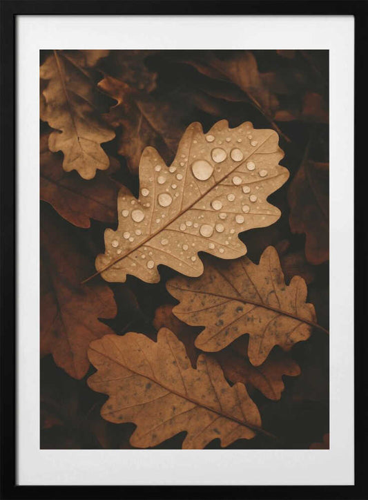 Autumnleafs - Art Print by Treechild