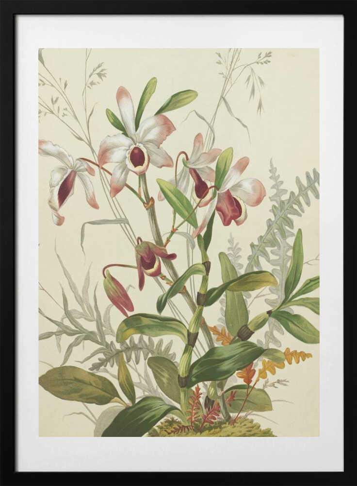 Flowers - Art Print by Louis Prang