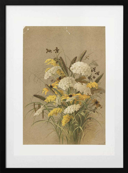 Hemlock, Ox Eye Grasses and Golden Rod - Art Print by Ellen Thayer Fisher