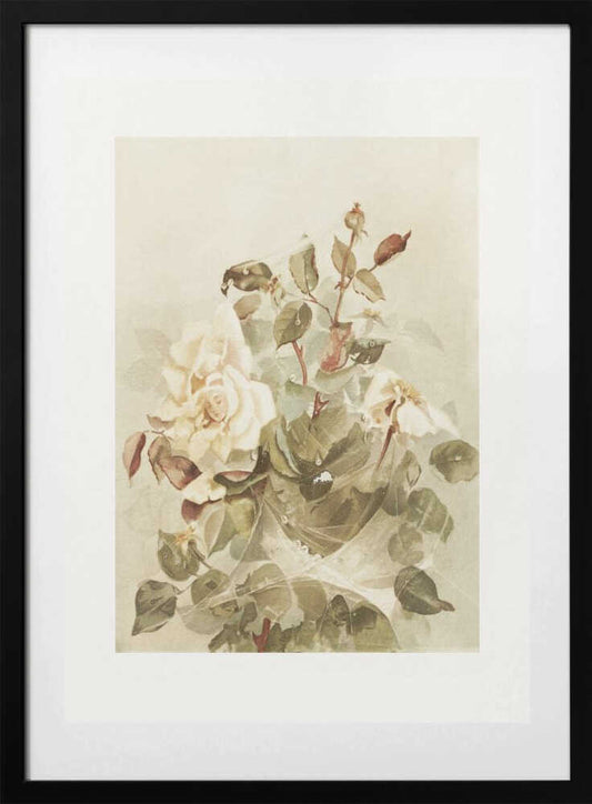 Pink Roses Seen Through Early Morning Dew - Art Print by Ellen Thayer Fisher