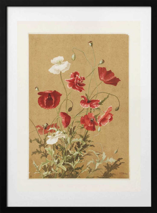 Poppies No. 3 By Ellen Thayer Fisher - Art Print by Ellen Thayer Fisher