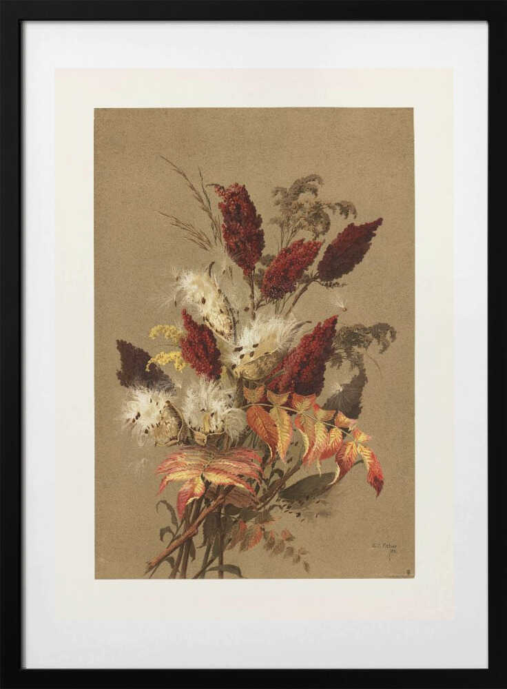 Sumac and Milkweed By Ellen Thayer Fisher - Art Print by Pictufy