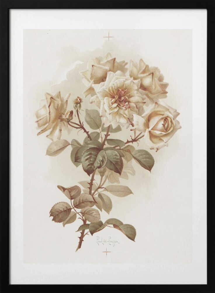 Yellow Roses; Reve D'or Roses - Art Print by Pictufy