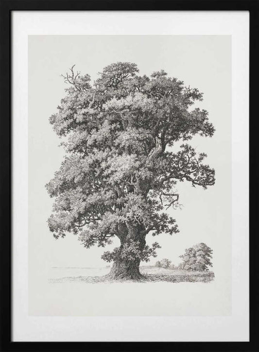 Tree studies After Nature With Regard To Landscape Drawing - Art Print by S.h. Petersen