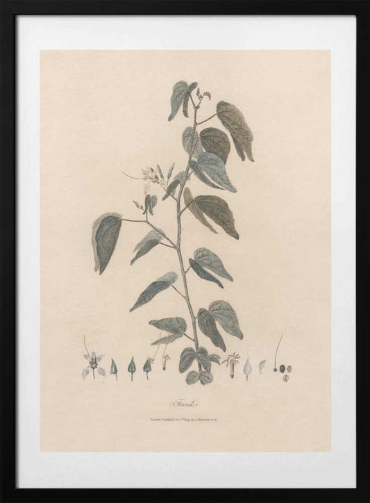 Farek 1789 - Art Print by James Heath