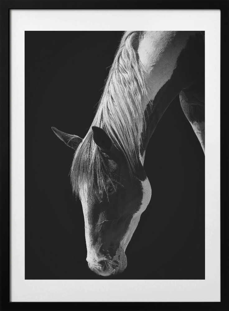 Quiet Strength - Art Print by Frank Ma