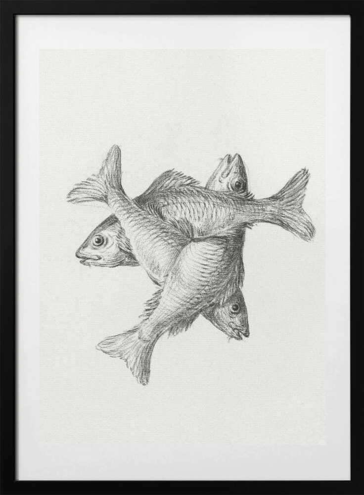 Three Fishes (1775–1833) - Art Print by Jean Bernard