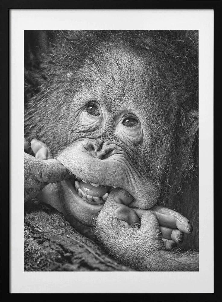 Big Smile Please - Art Print by Angela Muliani Hartojo