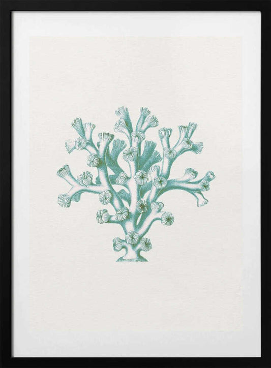 Vintage Teal Coral - Art Print by Wild Violets