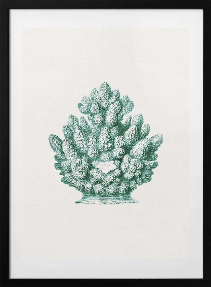 Teal Ocean Coral - Art Print by Wild Violets