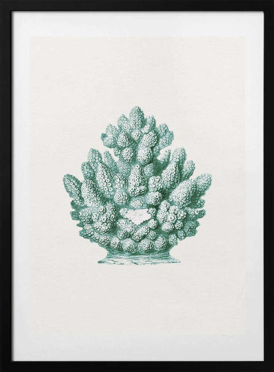 Teal Ocean Coral - Art Print by Wild Violets