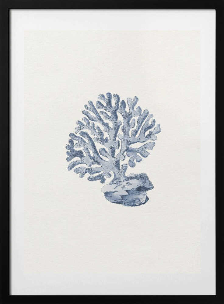 Marine Coral Study - Art Print by Wild Violets