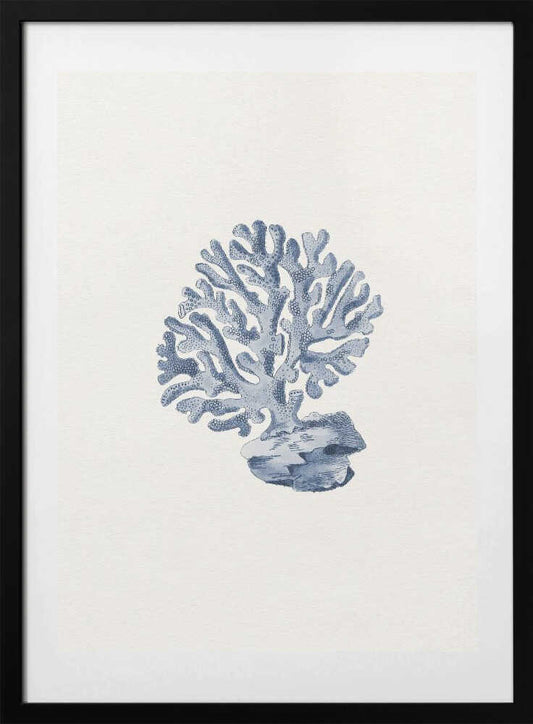 Marine Coral Study - Art Print by Wild Violets