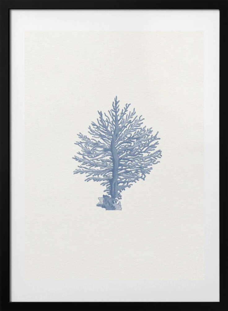 Delicate Blue Coral - Art Print by Wild Violets