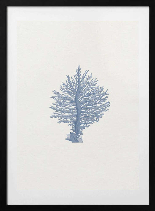 Delicate Blue Coral - Art Print by Wild Violets
